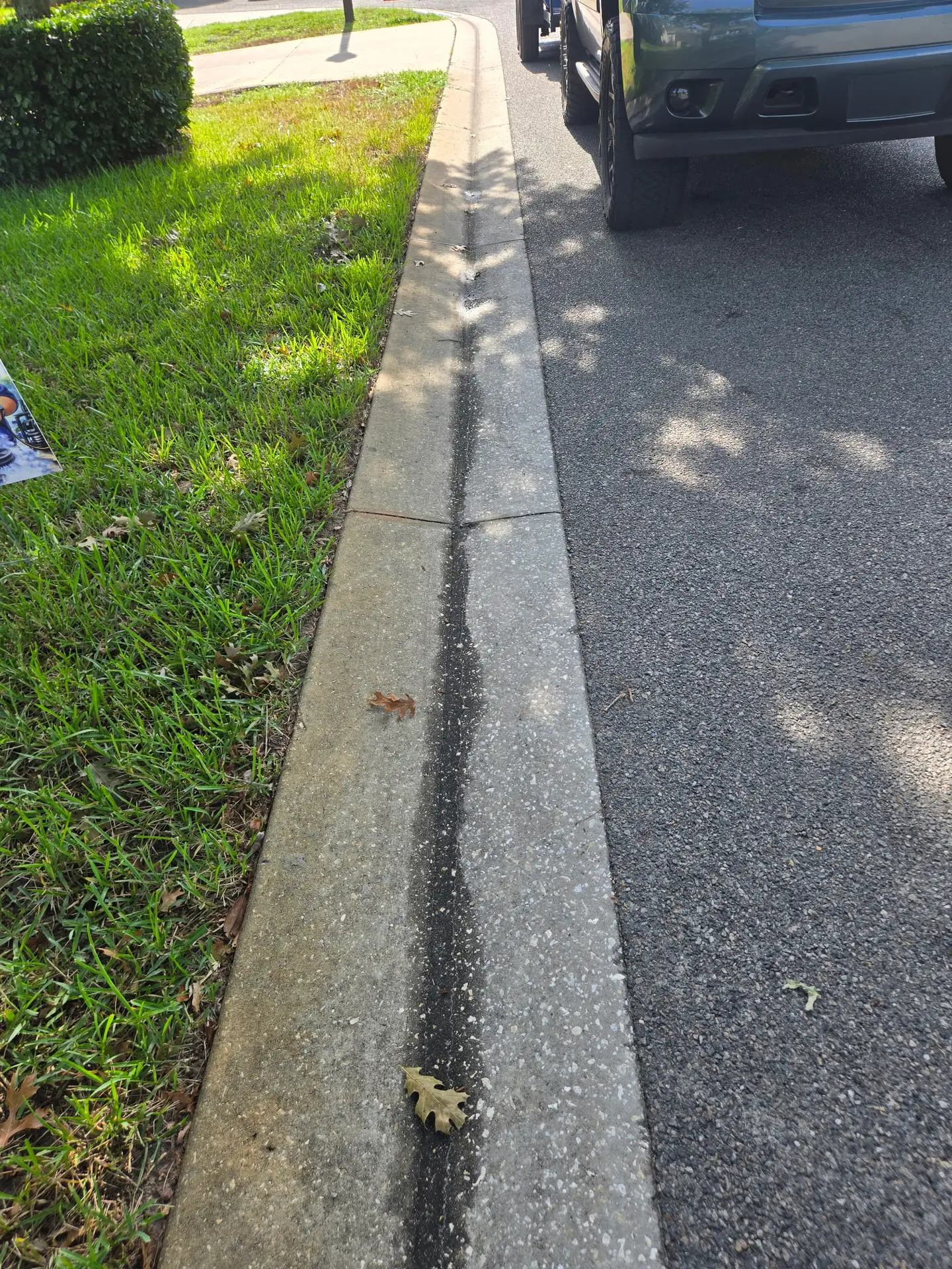 Driveway & Curb Edge before pressure washing in Sorrento FL