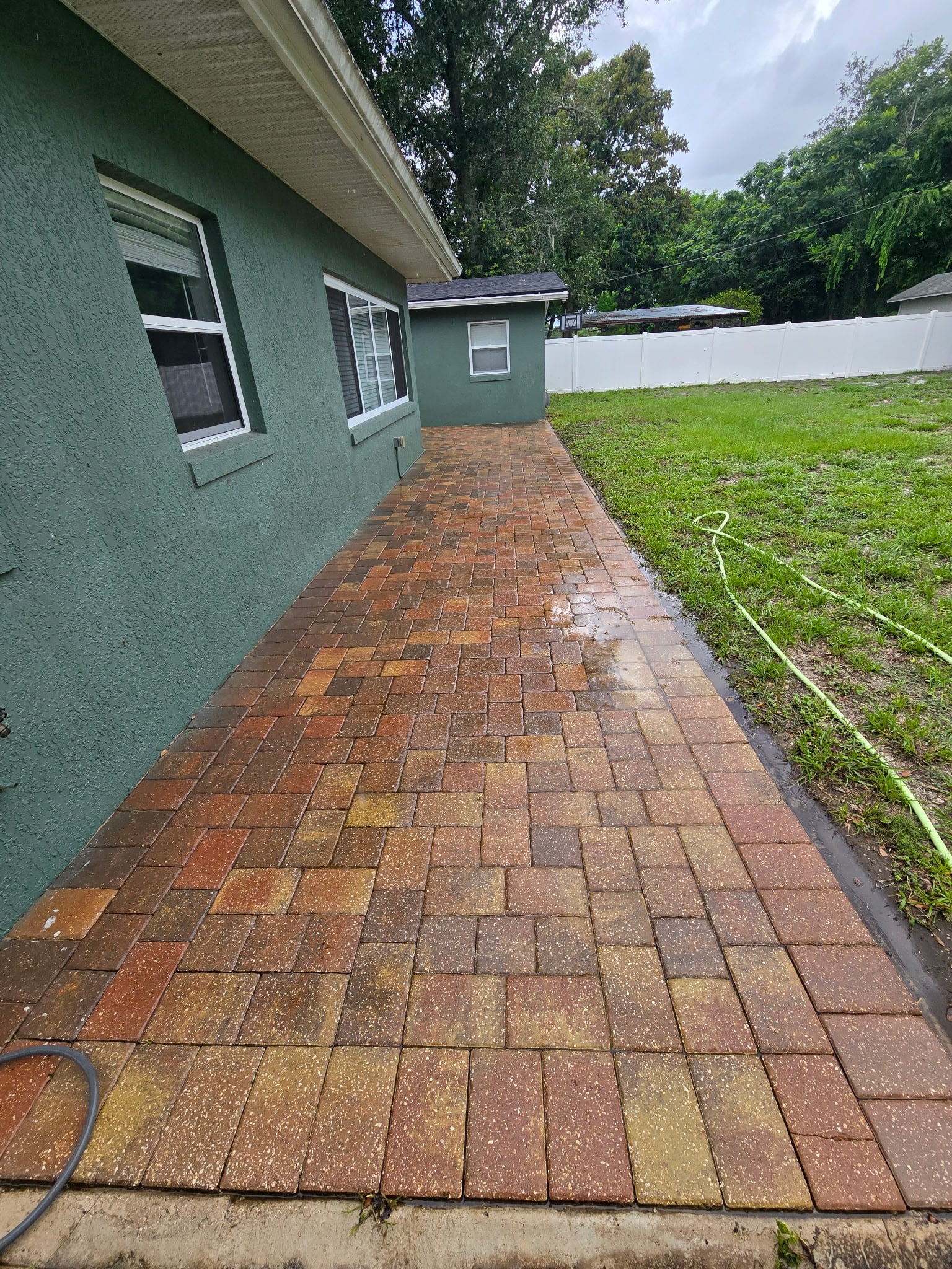 The same paver walkway cleaned edge to edge after paver cleaning in Mount Dora FL