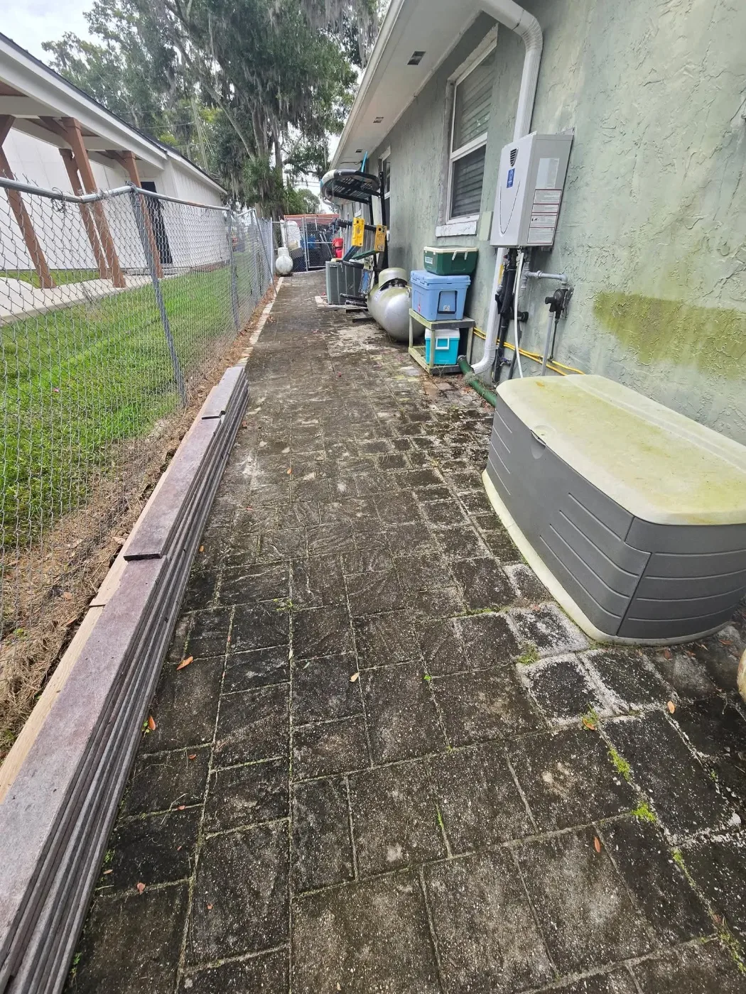Paver side path covered in black algae before cleaning