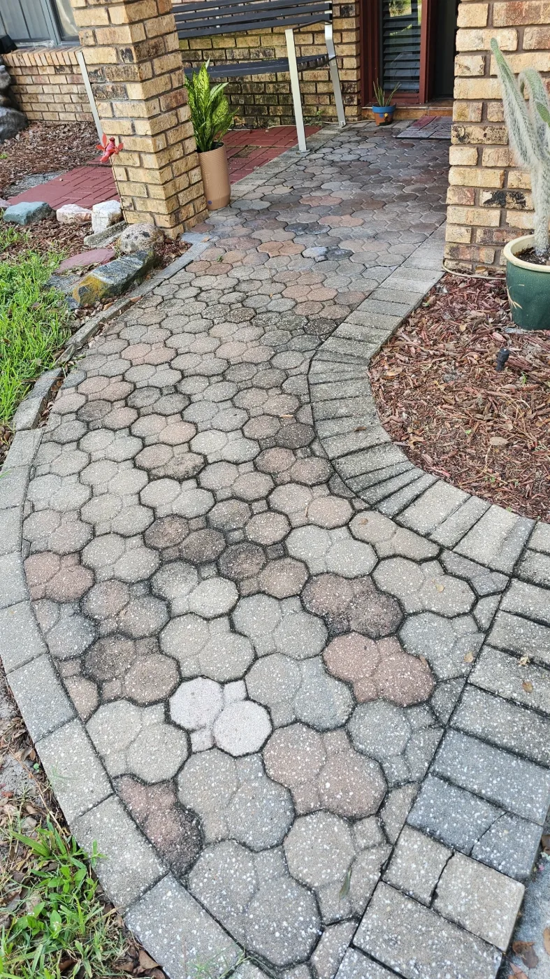 Front entry paver walkway darkened by algae before cleaning